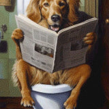Diamond Painting Hond WC