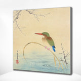Diamond Painting IJsvogel aan de oever Japan