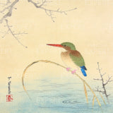 Diamond Painting IJsvogel aan de oever Japan