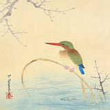 Diamond Painting IJsvogel aan de oever Japan