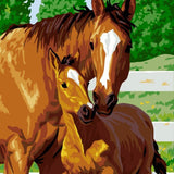 Schilderen op nummer Paard en Veulen