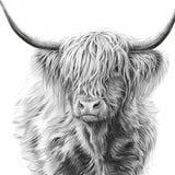 Schilderen op Nummer Schotse Hooglander in Zwart-Wit