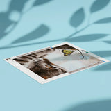 Diamond Painting Kat en een Vlinder