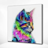 Schilderen op Nummer Kitten