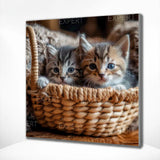 Diamond Painting Kittens Mand