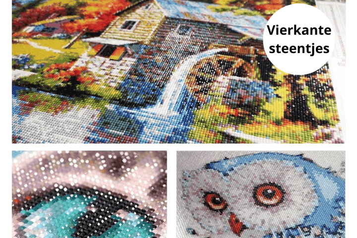 Diamond Painting Vogels en Bloemetjes