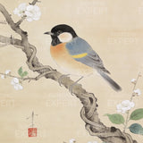 Schilderen op Nummer Koolmezen op bloesemtak van Ohara Koson Japan
