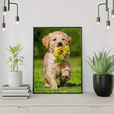 Diamond Painting Labrador & Bloem
