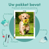 Diamond Painting Labrador & Bloem