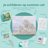 Schilderen op nummer Leeuwen Blauwe Lucht