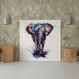 Schilderen op Nummer Olifant