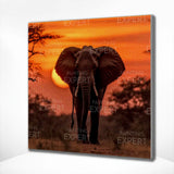 Diamond Painting Olifant Zonsondergang