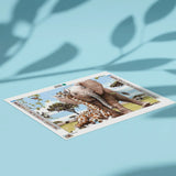 Diamond Painting Olifant en Giraffe