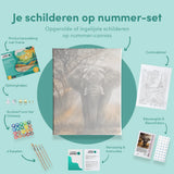 Schilderen op Nummer Olifant met Zonsondergang