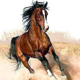 Schilderen op nummer Paard in Gallop
