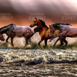 Schilderen op Nummer Paarden in de Zee