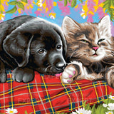 Schilderen op Nummer Puppy en Kitten