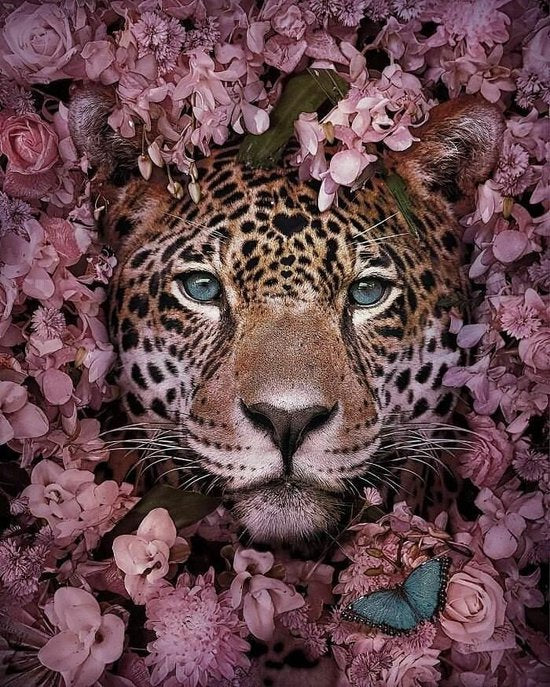 Schilderen op Nummer Tijger omringd door Bloemenpracht