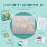 Schilderen op nummer Schotse Hooglander met Bloemen