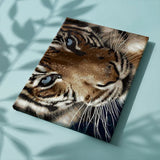 Schilderen op nummer Tijger Blauwe Ogen