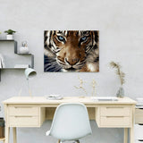 Schilderen op nummer Tijger Blauwe Ogen