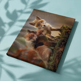 Schilderen op Nummer 3 Vosjes