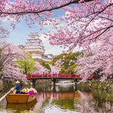 Schilderen op Nummer Bloemetjes en Water