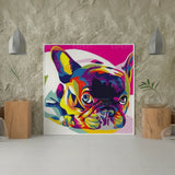 Schilderen op Nummer Buldog