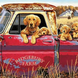 Schilderen op Nummer Honden in Rode Auto