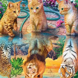 Schilderen op Nummer Katjes en Leeuwen