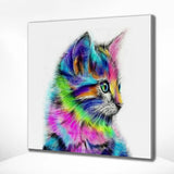 Schilderen op Nummer Kitten