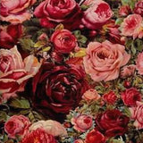 Schilderen op Nummer Kleurrijke Rozen