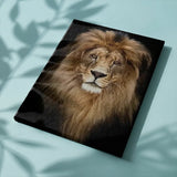 Schilderen op Nummer Leeuw