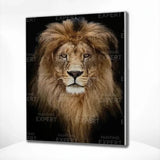 Schilderen op Nummer Leeuw