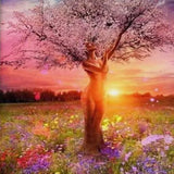 Schilderen op Nummer Ochtendzon