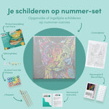 Schilderen op Nummer Opgewekte Kat