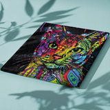 Schilderen op Nummer Opgewekte Kat