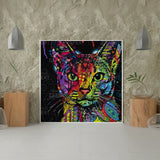 Schilderen op Nummer Opgewekte Kat