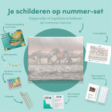 Schilderen op Nummer Paarden in de Zee