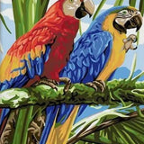 Schilderen op Nummer Papegaai
