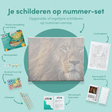 Schilderen op Nummer Prachtige Leeuw