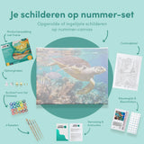 Schilderen op Nummer Schildpad Zee