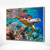 Schilderen op Nummer Schildpad Zee