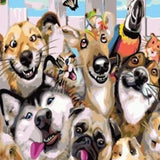 Schilderen op Nummer Selfie Honden