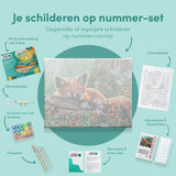 Schilderen op Nummer Slapende Vos