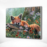 Schilderen op Nummer Slapende Vos