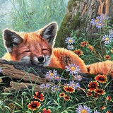 Schilderen op Nummer Slapende Vos