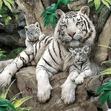 Schilderen op Nummer Tijgers