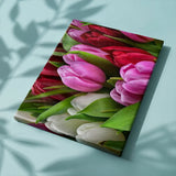 Schilderen op Nummer Tulpen