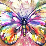 Schilderen op Nummer Vlinder